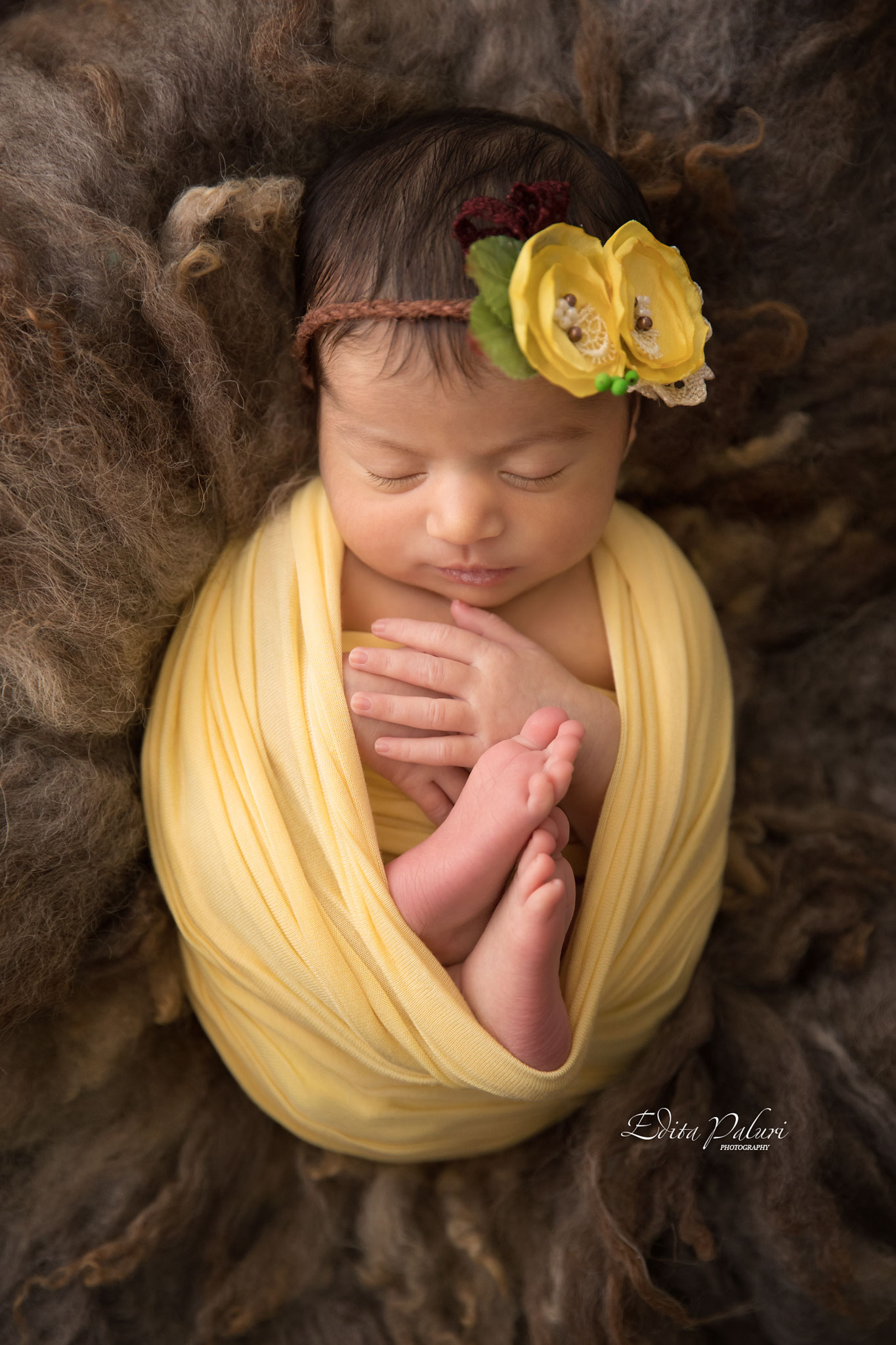 11 Days Newborn Baby Girl Photo Shoot Edita Photography