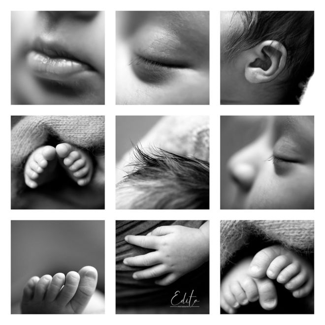 Newborn macro photos collage